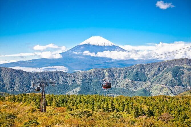 Mt Fuji and Hakone Private Day Tour - Why a private Mt Fuji or Hakone day feels easier than DIY