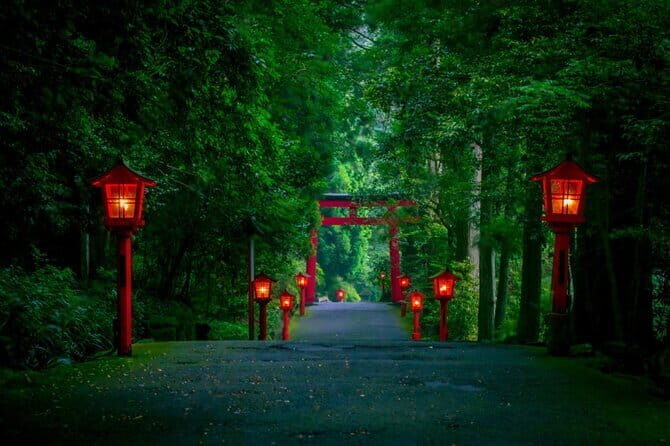 Mt Fuji and Hakone Private Day Tour - Picking the right plan: Mt Fuji Area or Hakone Area