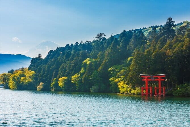 Mt Fuji and Hakone Private Day Tour - Your guide experience: English support and real flexibility