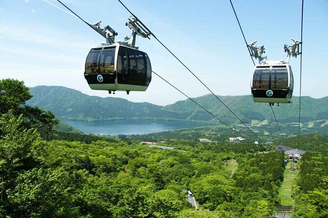 Mt.Fuji and Hakone Private SightSeeing Day Tour With Guide - Hakone Ropeway: gondola views over Owakudani