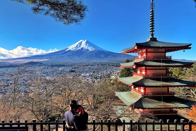 Mt.Fuji and Hakone Private SightSeeing Day Tour With Guide - Chureito Pagoda: the Fuji photo stop that ends strong