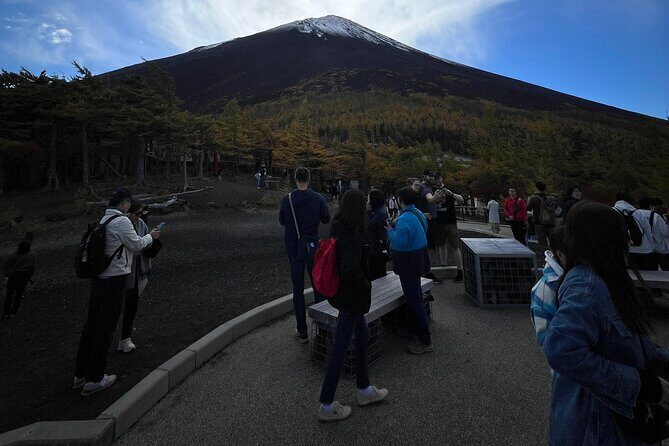 Mt.Fuji and Hakone Private SightSeeing Day Tour With Guide - Mt. Fuji Subaru Line 5th Station: the closest you can get