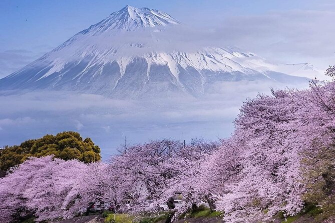 Mt. Fuji and Hakone Private Tour with English Speaking Driver - Key highlights at a glance