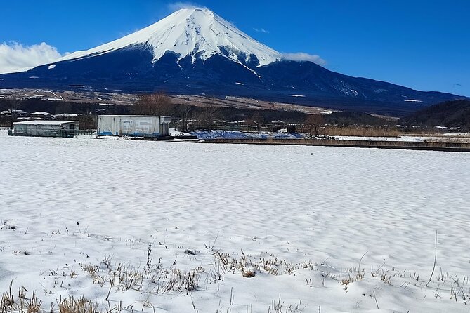 Mt. Fuji and Hakone Private Tour with English Speaking Driver - Price and what you’re really paying for ($540 per group)