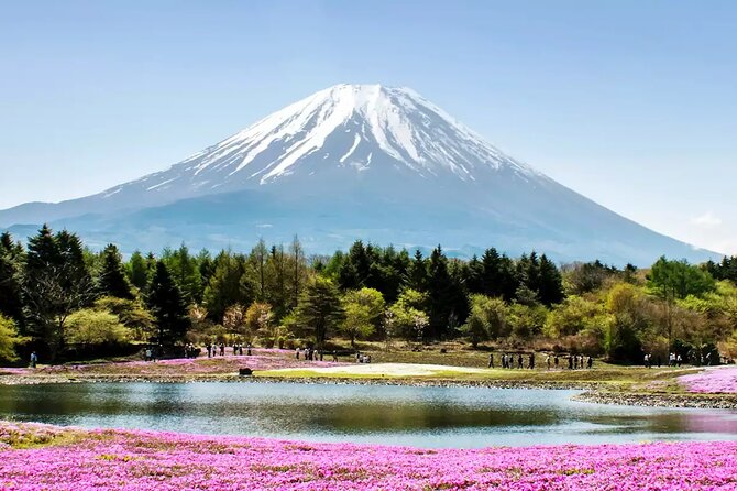 Mt. Fuji and Hakone Private Tour with English Speaking Driver - Arakurayama Sengen Park and the Chureito pagoda viewpoint