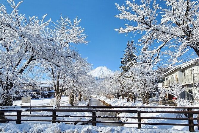 Mt. Fuji and Hakone Private Tour with English Speaking Driver - The 10-hour schedule: what the timing really means
