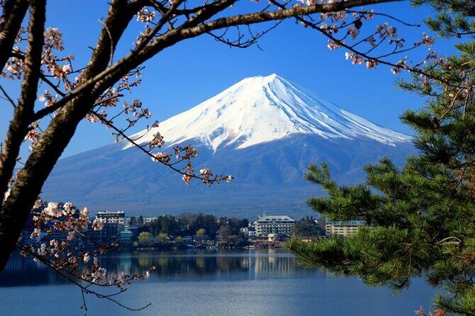 Mt.Fuji and Hakone Tour - Key highlights worth clocking
