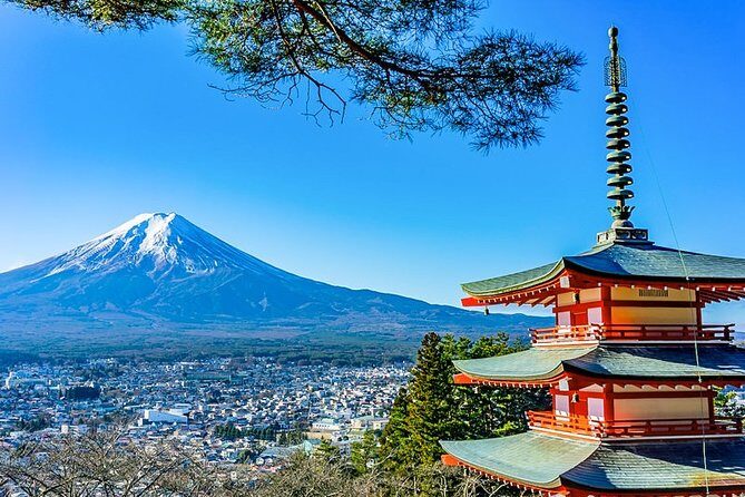 Mt. Fuji Area Tour Tokyo DEP: English Speaking Driver, No Guide - Key Highlights You’ll Actually Feel in a Day Trip
