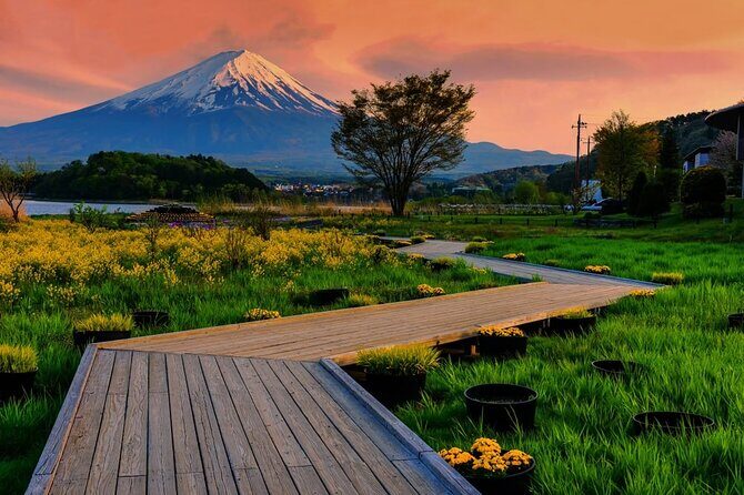 Mt. Fuji Area Tour Tokyo DEP: English Speaking Driver, No Guide - Mt. Kachi Kachi Ropeway: A Higher View Option Near Lake Kawaguchiko