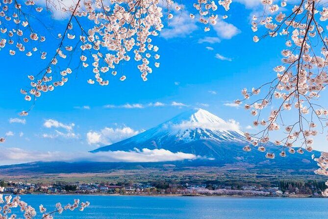 Mt. Fuji Area Tour Tokyo DEP: English Speaking Driver, No Guide - Lake Yamanaka: Classic Fuji Framing with a Calm Walk