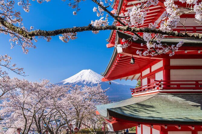 Mt. Fuji Area Tour Tokyo DEP: English Speaking Driver, No Guide - Who This Tour Fits Best (and Who Might Want a Different Style)