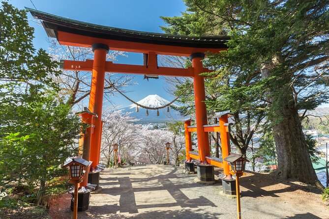 Mt Fuji Customizable Private Tour English Speaking Driver Pick-up - Lake Yamanaka: big Fuji views without needing a second tour