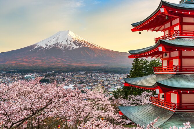 Mt Fuji Customizable Private Tour English Speaking Driver Pick-up - Customizable or classic loop: how to shape your Fuji day