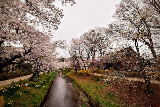 Mt Fuji Day Trip from Tokyo by Car with Photographer Guide - Stop 3: Saiko Iyashi no Sato Nemba Village for Traditional Rooflines