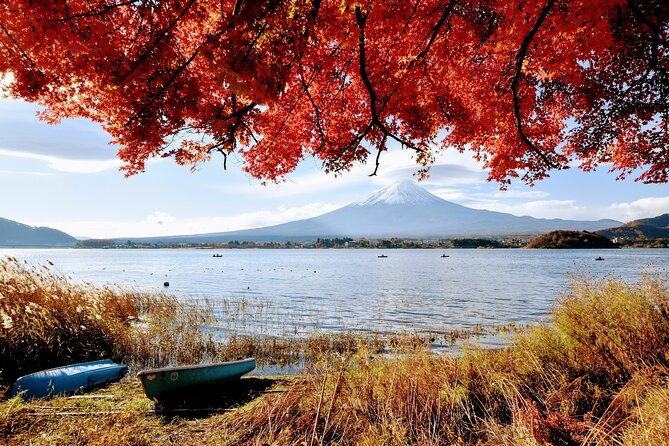 Mt Fuji Day Trip from Tokyo by Car with Photographer Guide - Stop 4: Kitaguchi Hongu Fuji Sengen Jinja Shrine and the Trail Entrance