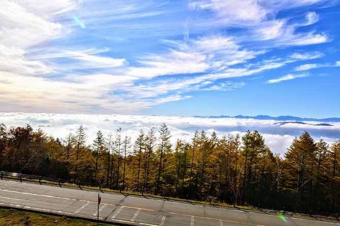 Mt Fuji Day Trip from Tokyo by Car with Photographer Guide - Photographer Guide Support: Turning Stops Into Real Photos