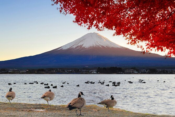 Mt Fuji Exclusive Tour with Private Car English Guide - How the private car + English guide shapes your day