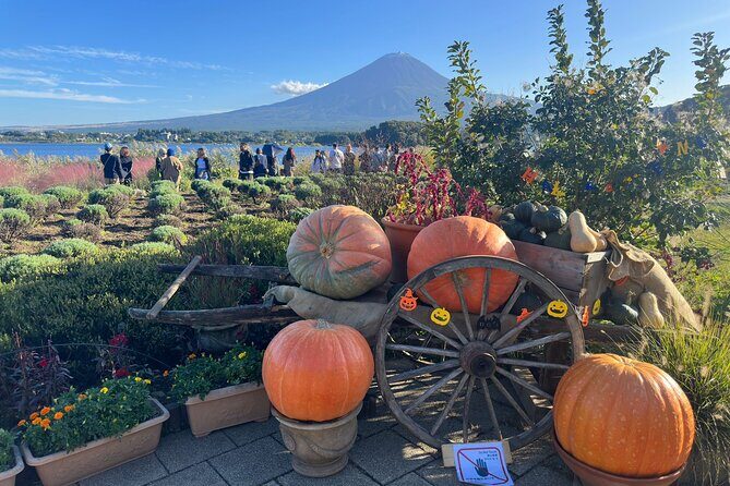 Mt. Fuji & Hakone Cherry Blossom private One Day Tour - Owakudani Volcanic Valley: Sulfur Air, Hot Activity, and the Black-Egg Tradition
