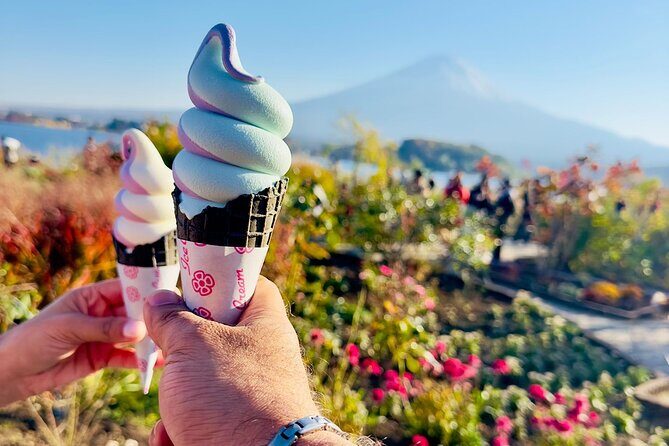 Mt. Fuji & Hakone Cherry Blossom private One Day Tour - Where the Day Starts: Tokyo Station and Hotel Pickup Reality