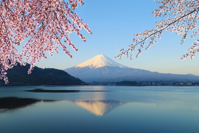 Mt Fuji & Hakone Cruise, Drum Show Bus 1 Day from Tokyo Sta. Area - Key points before you go
