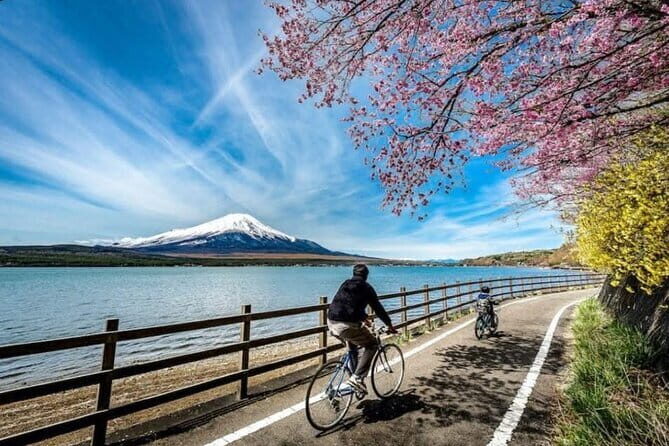 Mt fuji & Hakone customizable day tour w/ English speaking driver - Pickup and timing: why 10 hours can be perfect or exhausting