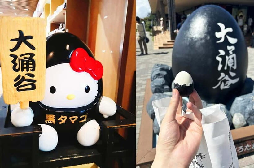 Mt Fuji Hakone/Enoshima Tour:Optional Ropeway/Lake Ashi Boat - Your guide matters: why multilingual help can make or break the day