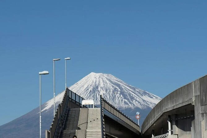 Mt Fuji, Hakone Private Tour by Car Pickup from Tokyo - Food, Tickets, and Timing: How to Avoid the Common Day-Trip Friction