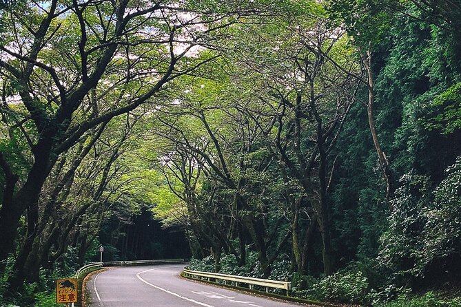 Mt. Fuji, Hakone Private Tour from Tokyo - Onsen, Arts and Nature - Amasake tea house: a 400-year pause that feels like the real route