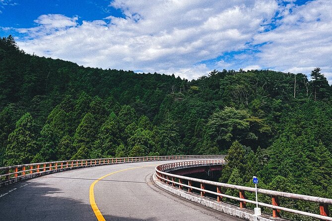 Mt. Fuji, Hakone Private Tour from Tokyo - Onsen, Arts and Nature - Onsen at Tenzan Tohji-kyo: the relaxation payoff (and the extra cost)