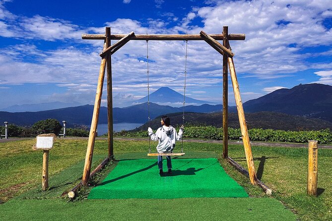 Mt. Fuji, Hakone Private Tour from Tokyo - Onsen, Arts and Nature - Open-Air Museum and Pola Museum: art time with two weather paths