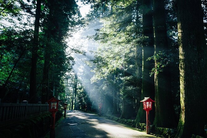 Mt. Fuji, Hakone Private Tour from Tokyo - Onsen, Arts and Nature - Lake Ashinoko Sky Line: the road moment that ties it all together