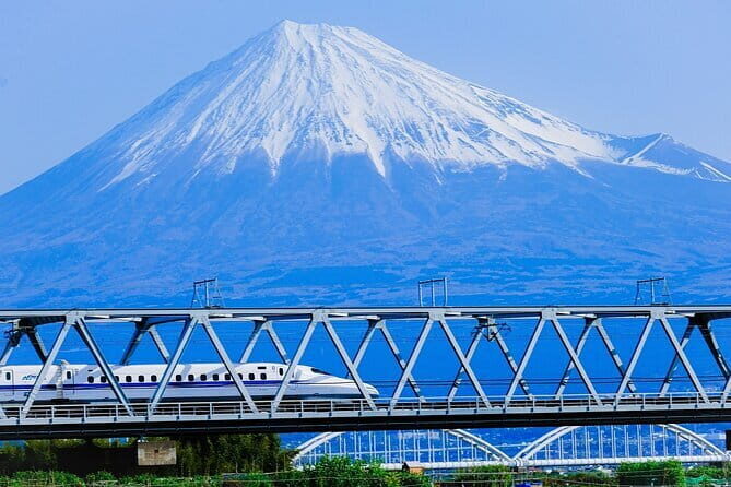 Mt Fuji & Hakone Private Tour from Tokyo: Return by Bullet Train - Key Things You’ll Appreciate Most