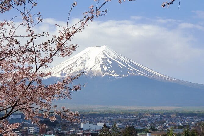Mt Fuji & Hakone Private Tour from Tokyo: Return by Bullet Train - Chureito Pagoda: The Fuji View Stop That Needs No Translation