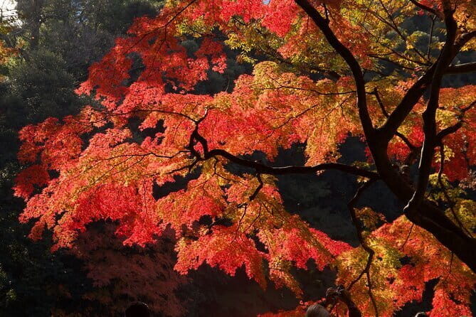 Mt Fuji & Hakone Private Tour from Tokyo: Return by Bullet Train - Oshino Hakkai: Eight Ponds with Water That Feels Too Clear