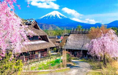 Mt. Fuji Heritage Tour: Traditional Villages, Lakes & Shrine - Lake Kawaguchi View Time and the Seasonal Call: Oishi Park vs Maple Corridor