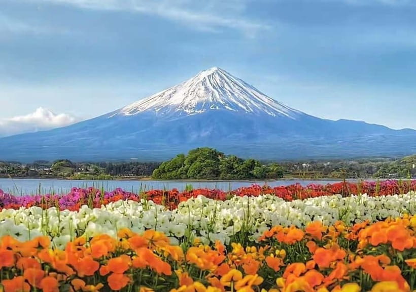 Mt. Fuji Heritage Tour: Traditional Villages, Lakes & Shrine - Photo Tips That Actually Help on This Route