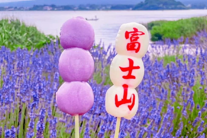 Mt. Fuji Heritage Tour: Traditional Villages, Lakes & Shrine - Who This Tour Fits Best