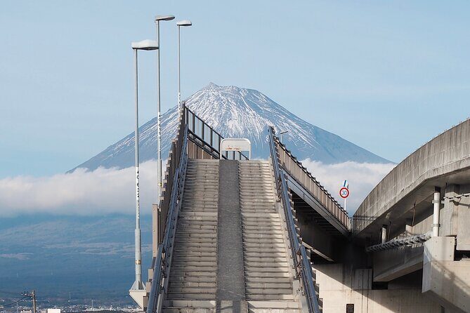 Mt. Fuji Highlight Photo Spots One Day Tour from Tokyo - Why This Mt. Fuji Tour Feels Efficient (And Not Like a Rush)