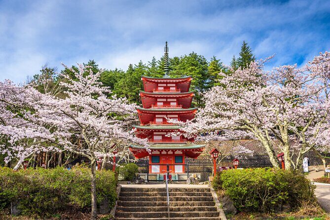 Mt. Fuji Highlight Photo Spots One Day Tour from Tokyo - Oishi Park: Flowers in Front of Fuji (And Seasonal Drama)