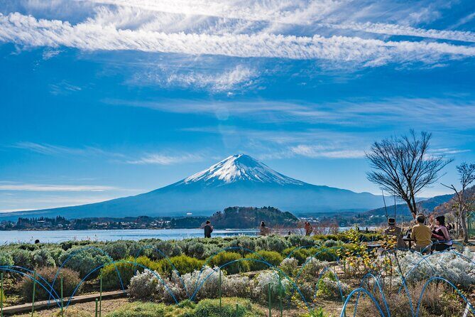 Mt. Fuji Highlight Photo Spots One Day Tour from Tokyo - Obuchi Sasaba Tea Fields: Fuji Above the Greens