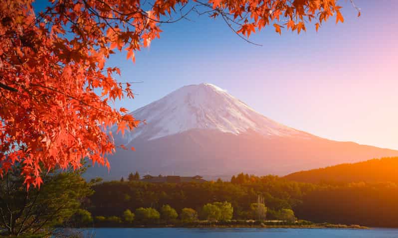 MT.Fuji: Mount Fuji Private day Tour With Guide - Oshino Hakkai: Eight Ponds, Lava Filters, and a Cooler Kind of Fuji