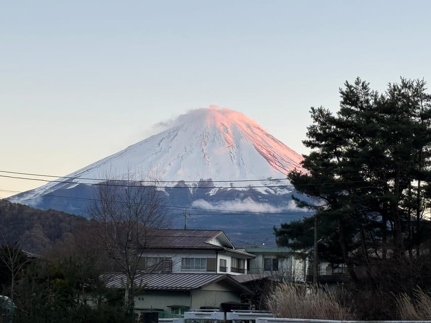 MT.Fuji: Mount Fuji Private day Tour With Guide - Oishi Park: Fuji Views Plus the Sweet Stuff