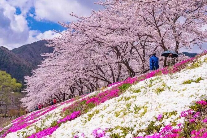Mt. Fuji Panoramic Ropeway, 5th Station, And Oshino Hakkai Tour - Why This Fuji Day Works: Ropeway Views Plus Two Classic Stops