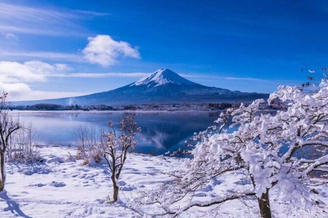Mt. Fuji Panoramic Ropeway, 5th Station, And Oshino Hakkai Tour - Lunch and Pacing: Keeping 9–10 Hours from Feeling Like a Whirlwind
