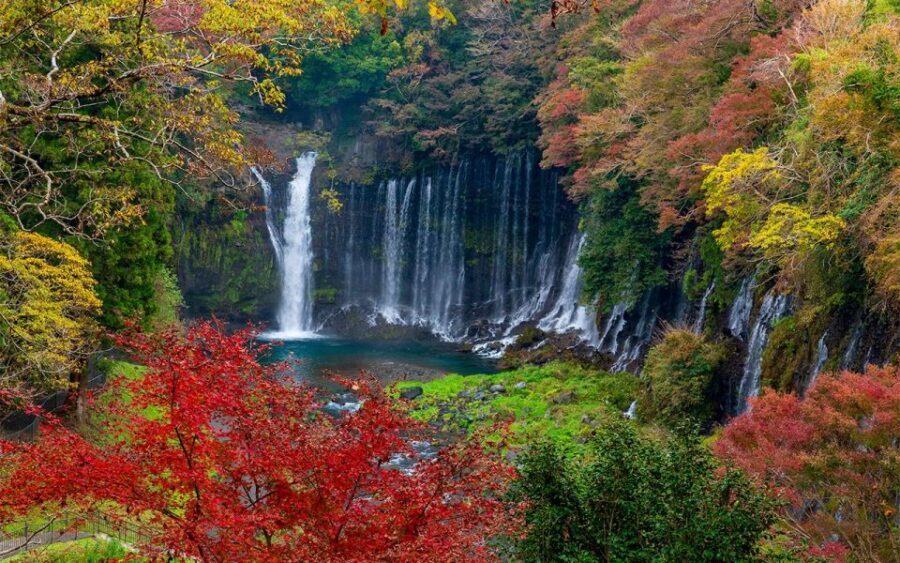 Mt Fuji : Private 10-Hour Luxury Tour by Exclusive Car - Key highlights that make this tour worth your time