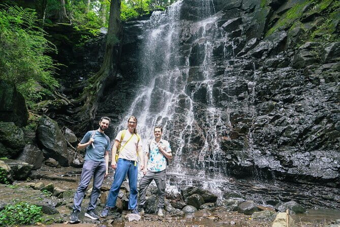 Mt. Fuji Private Chartered Tour with Nature and Wasabi Farm - A private Mt. Fuji day that’s built for real timing