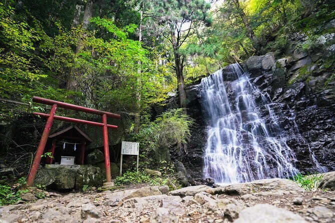 Mt. Fuji Private Chartered Tour with Nature and Wasabi Farm - Arakura Fuji Sengen Shrine and the five-story pagoda view