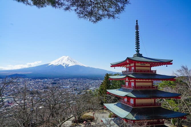 Mt. Fuji Private Chartered Tour with Nature and Wasabi Farm - Price and value: what you’re actually paying for