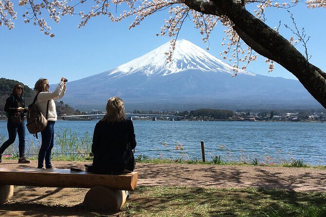Mt Fuji Private Day Tour from Tokyo with English Speaking Driver - Key takeaways before you go