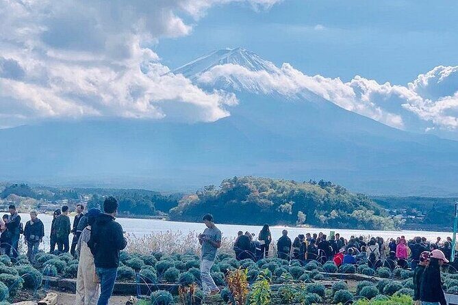 Mt Fuji Private Day Tour from Tokyo with English Speaking Driver - Saiko Iyashi no Sato Nenba: a timed add-on if you have room